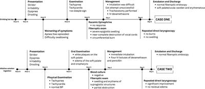 The emergence of non-infectious epiglottitis after the era of Hemophilus influenza type B universal vaccination: two case reports and literature review